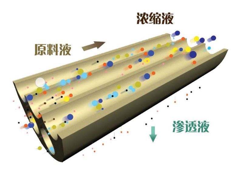 納濾膜技術是如何對木糖進行脫色處理的？